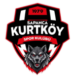 Kurtköyspor