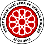 Ahmet T. Gazi