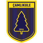 Çamlıkulespor