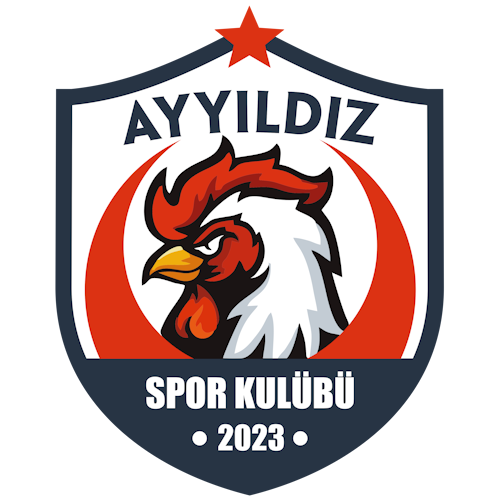 Oto 20 Ayyıldız