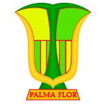 Atlético Palmaflor