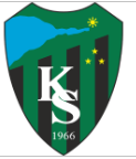 Kocaelispor A2