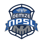 Demize