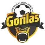 Gorila do Universo