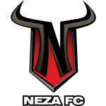 Toros Neza