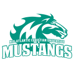 Mustangs