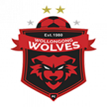 Wollongong Wolves U20