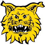 Ilves U20