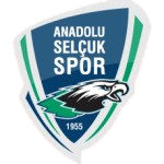 Anadolu Selçuk