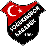 100. Yıl Soğuksuspor