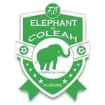 Eléphant