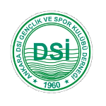 Ankara DSİ