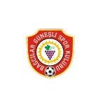 B. Güneşlispor