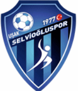 Selvioğlu
