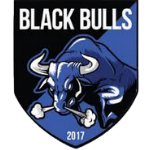 Black Bulls