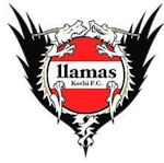 Llamas Kochi