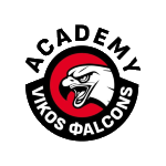 Vikos Falcons