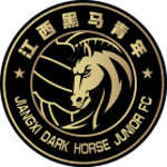 Jiangxi Dark Horse