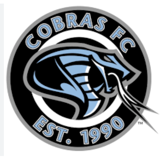 Cobras Fútbol Premier