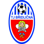 Bridlicna