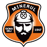 Minerul Ocna Dej