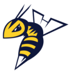E. Stingers