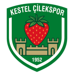 Kestel Çilekspor