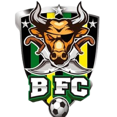 BFC