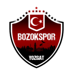 Yozgat Bld Bozokspor