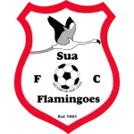 Flamingoes
