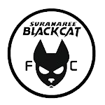 Suranaree Black Cat