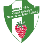 Kestel Çilekspor