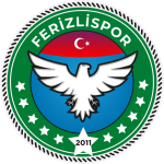 Ferizlispor 2011