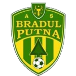 Bradul