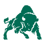 Bison