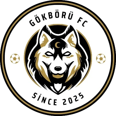 Gökbörü FC