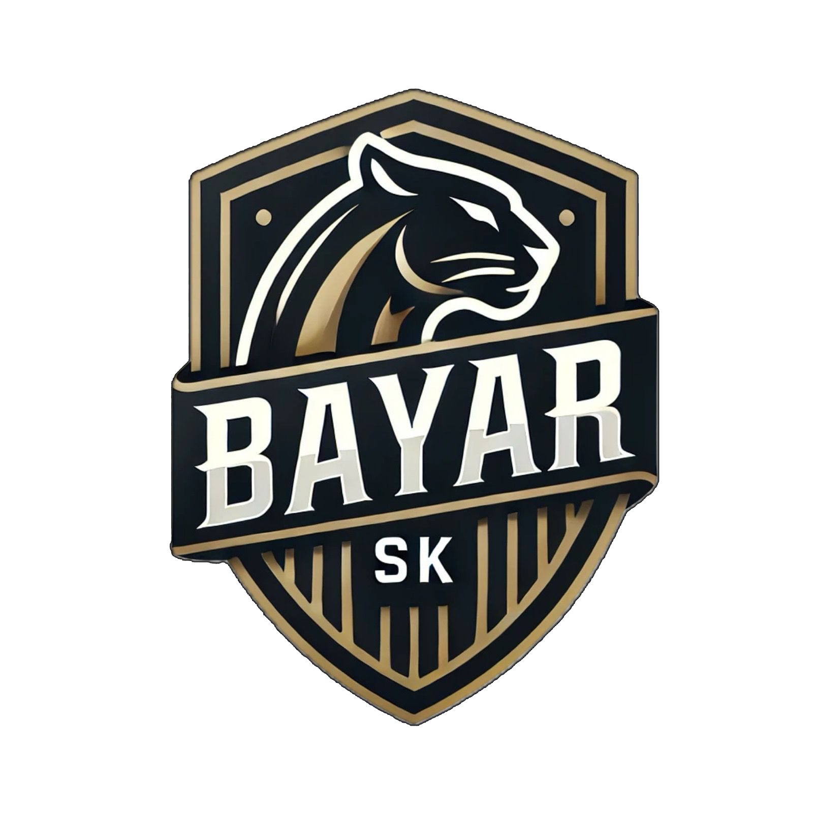 Bayar SK