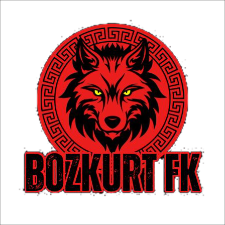 Bozkurt FK