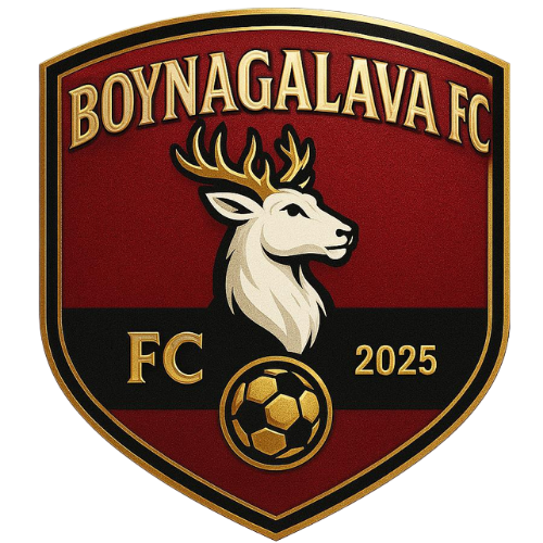 Boynagalava FC