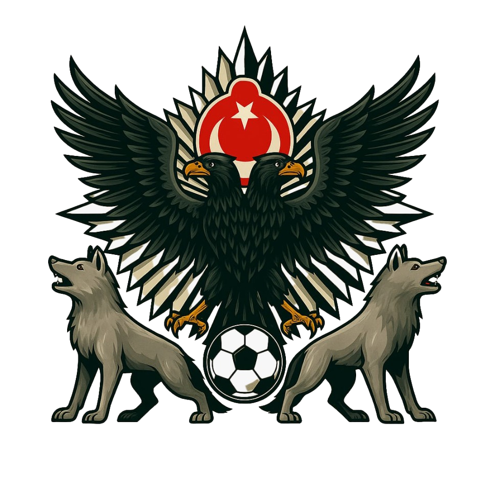Gökbörü FC