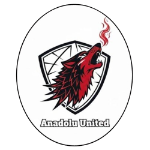 Anadolu United