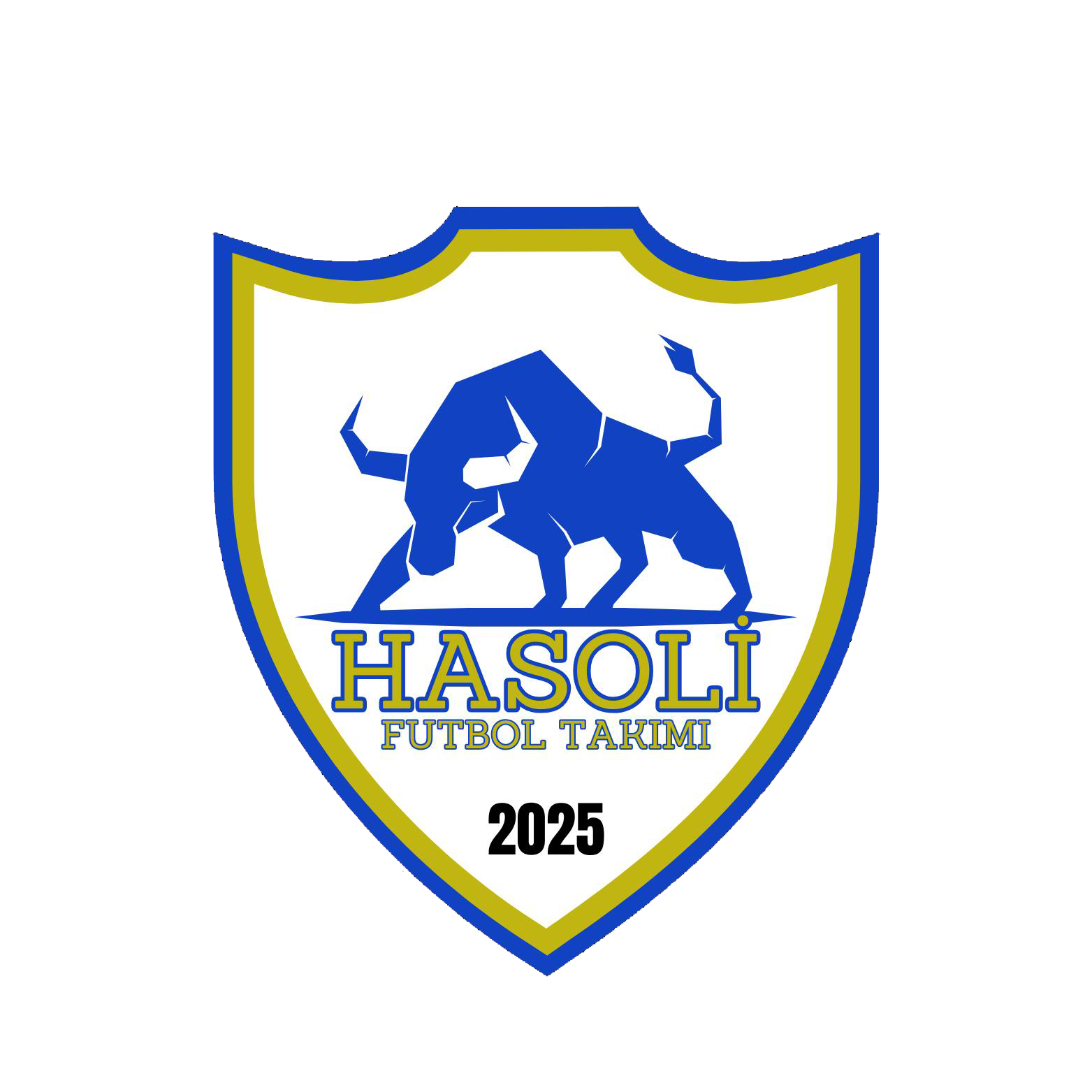 Hasoli SK