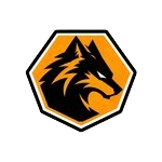 The Wolves FC