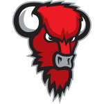 Bisons