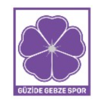 G.Gebze Spor