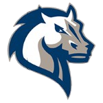 Mavericks