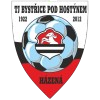 Bystřice