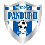 Viitorul TG II