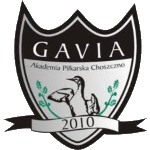 Gavia