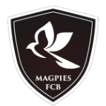MAG
